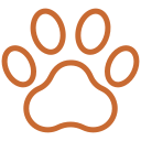 Joshua Tree No-Kill Shelter
