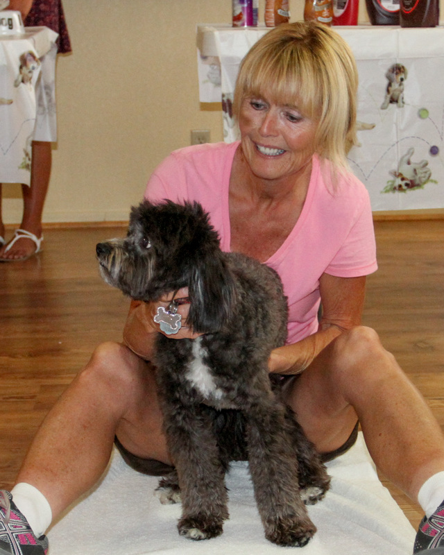Joshua Tree No-Kill Shelter