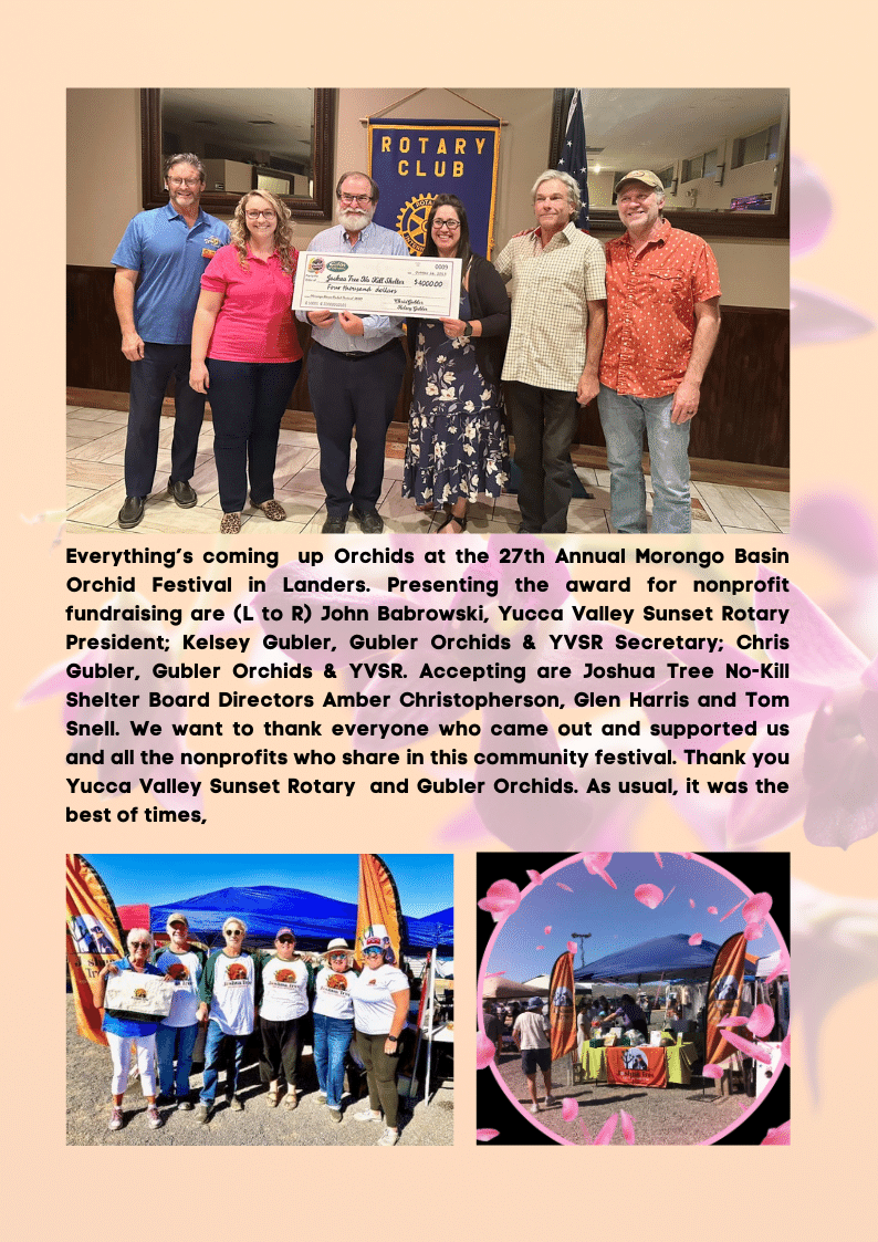 Joshua Tree No-Kill Shelter
